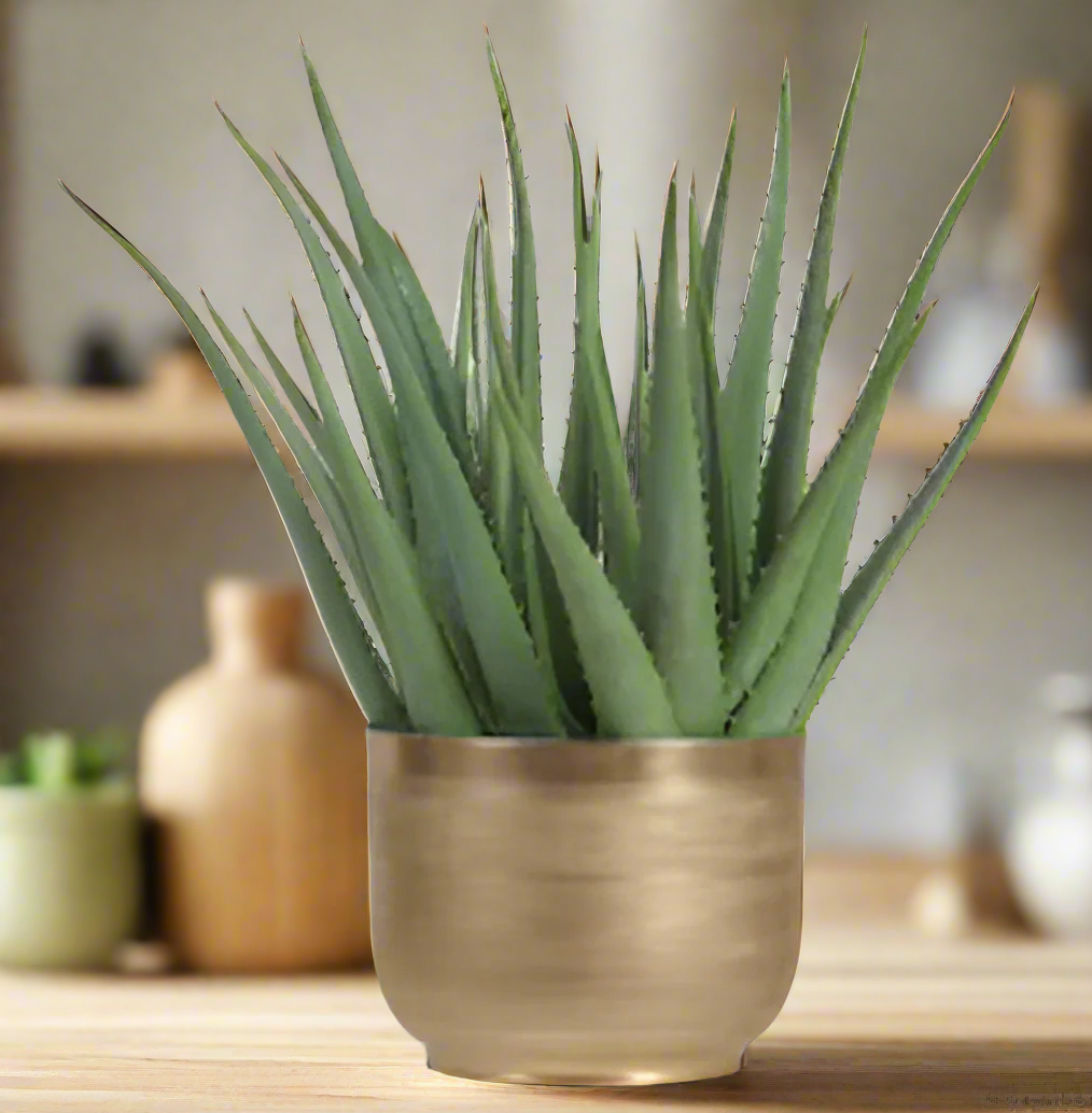 Modern Agave Plant in Gold Textured Metal Pot | Stylish Home Decor