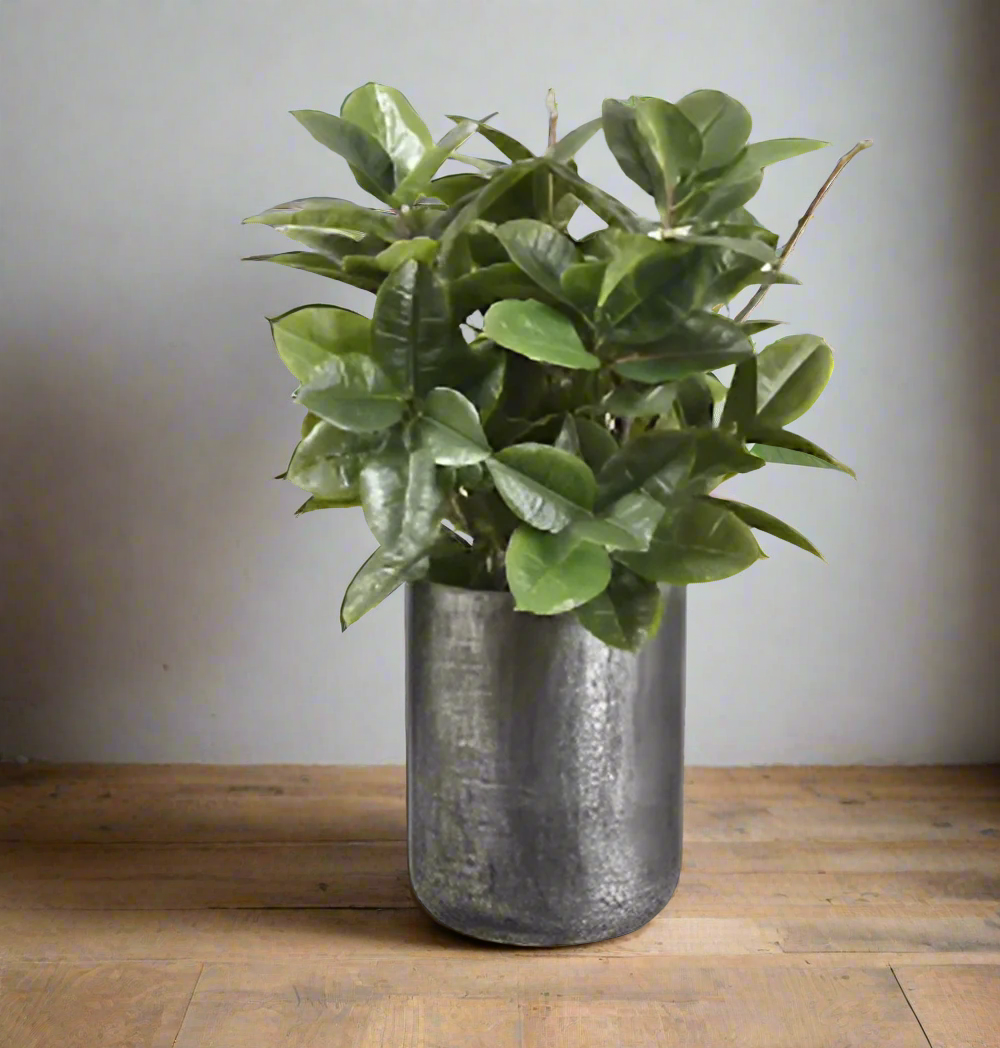 Lifelike Rubber Plant in Antique Zinc Planter | Modern Home Decor