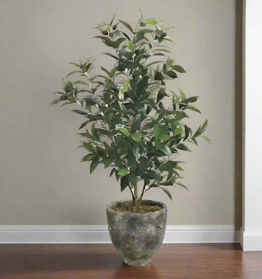 Lifelike Olive Tree in Two-Tone Green Pot | Elegant Home Decor