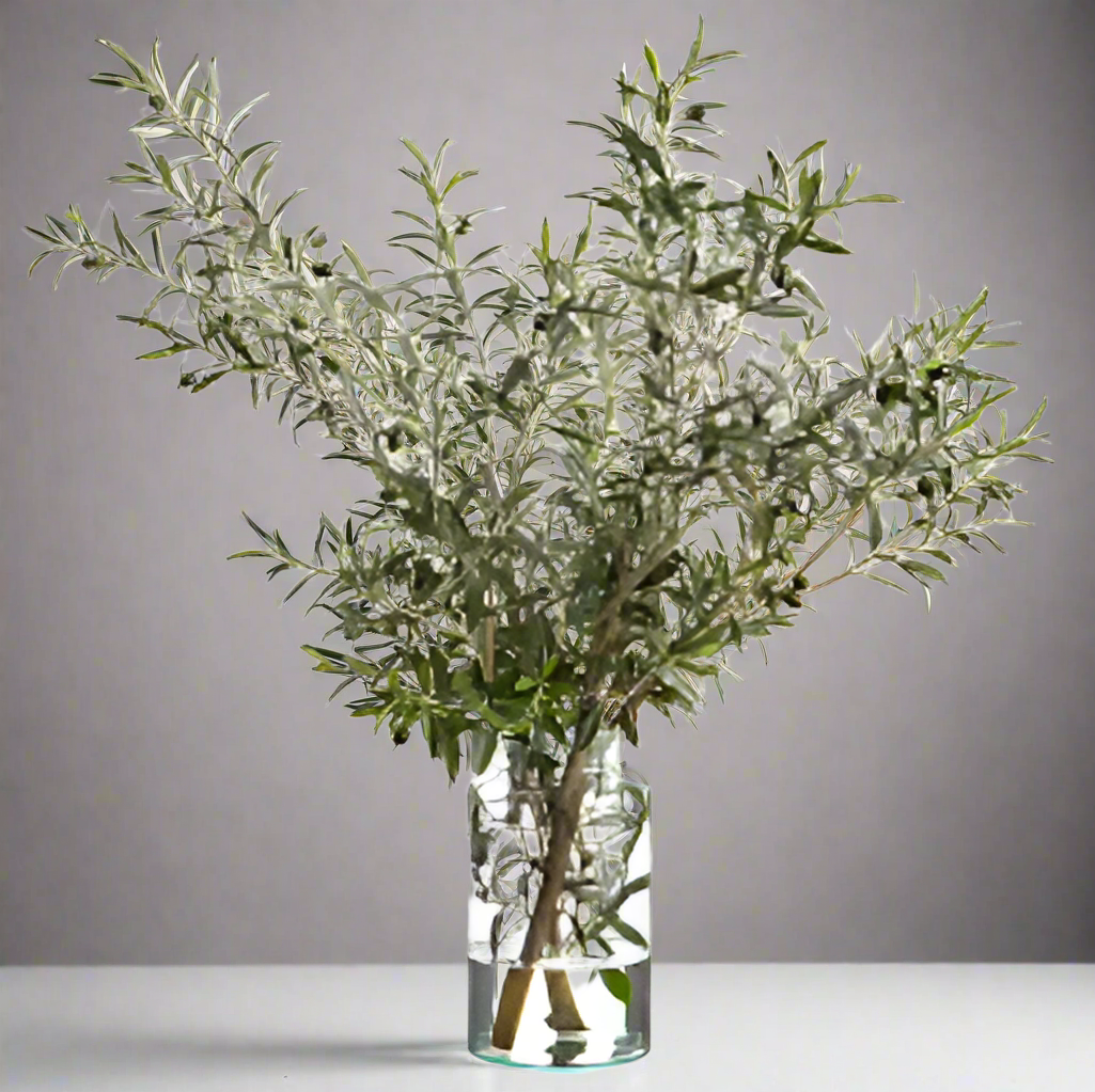 Elegant Olive Tree Branches in Glass Vase | Large Lifelike Floral Arrangement