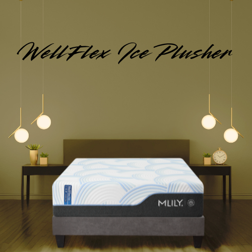 WellFlex Ice Plusher