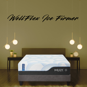 WellFlex Ice Firmer
