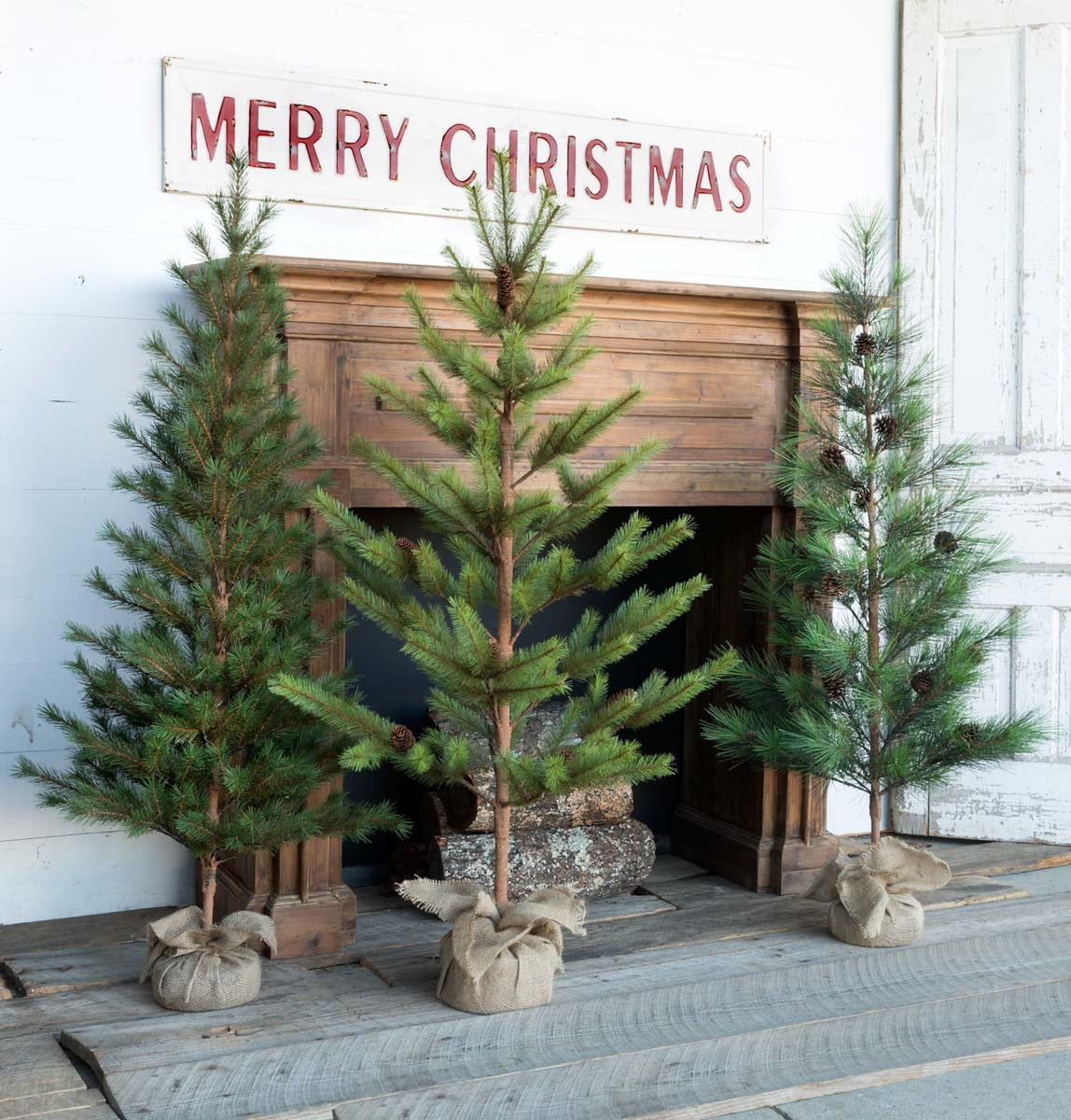 Third Year Seedling Trees, Assortment of 3 | Rustic Holiday Décor Set