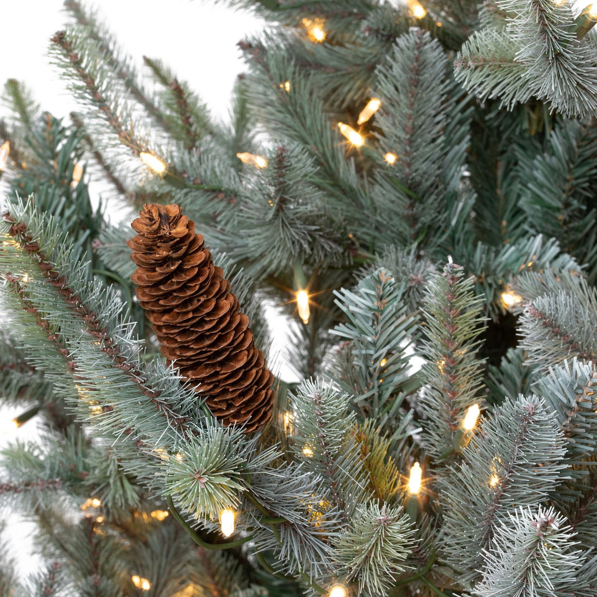 7.5' Blue Spruce LED Tree | Clear & Multi-Option Lights – Holiday Décor