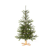 5' Great Northern Spruce Tree with Micro LED Lights | Cozy Holiday Tree