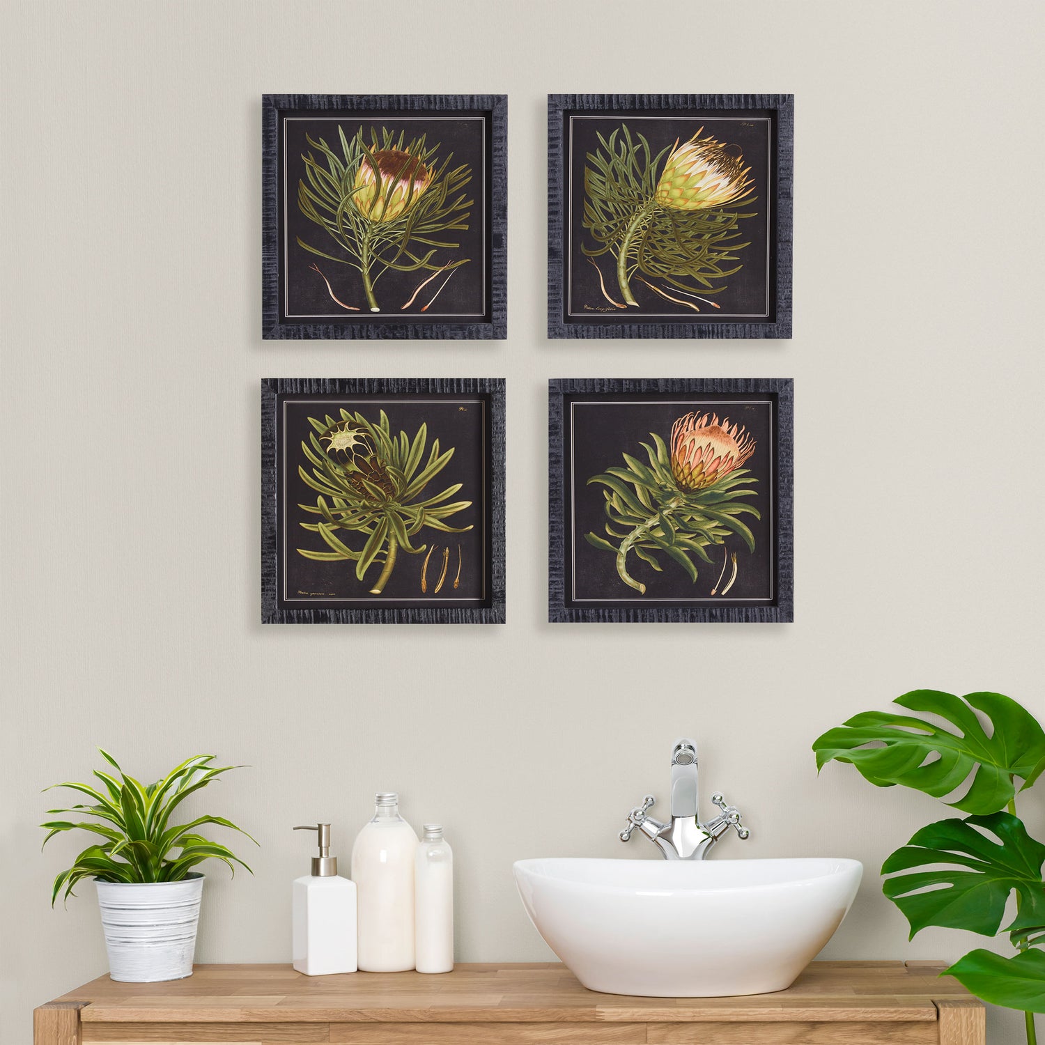 Protea Petite Prints, Set Of 4