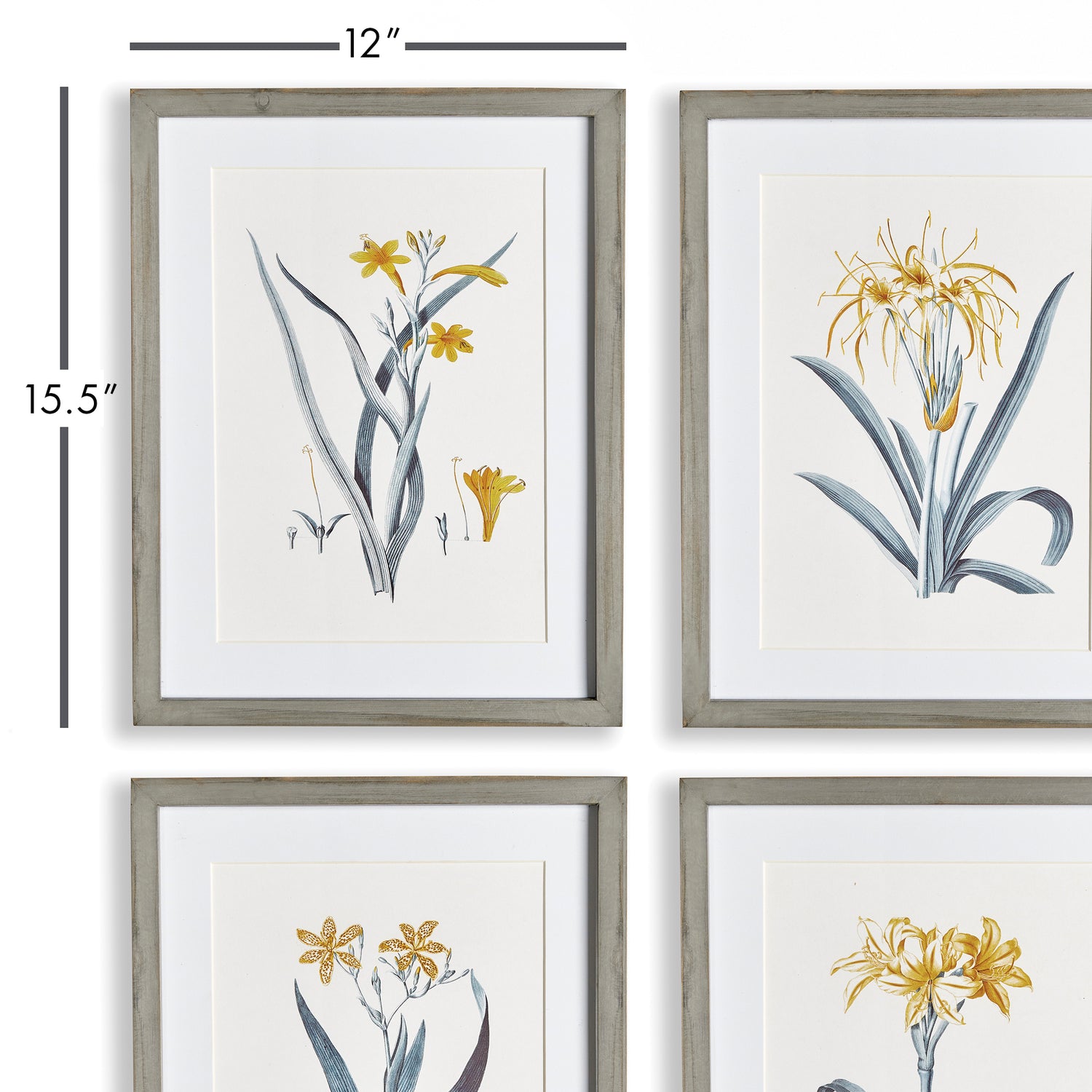 DISCONTINUED Daffodil Prints, Set Of 4