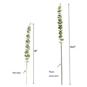 Lifelike soft touch Frosty Flocked Spiral Eucalyptus Stem: 23"