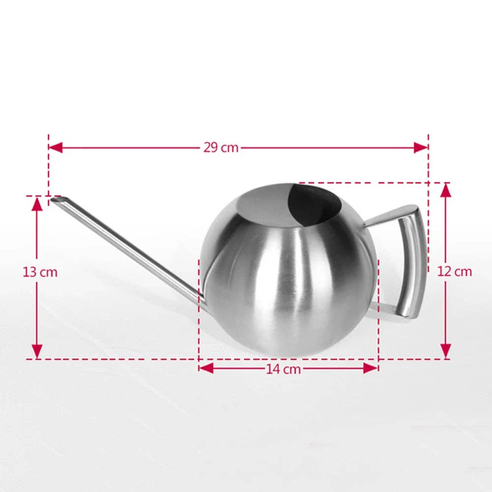 Minimalist Plant Watering Can: Silver