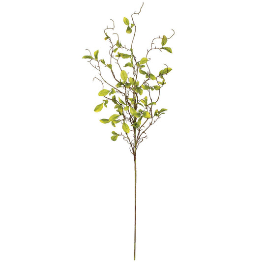 Leaf & Twig Spray