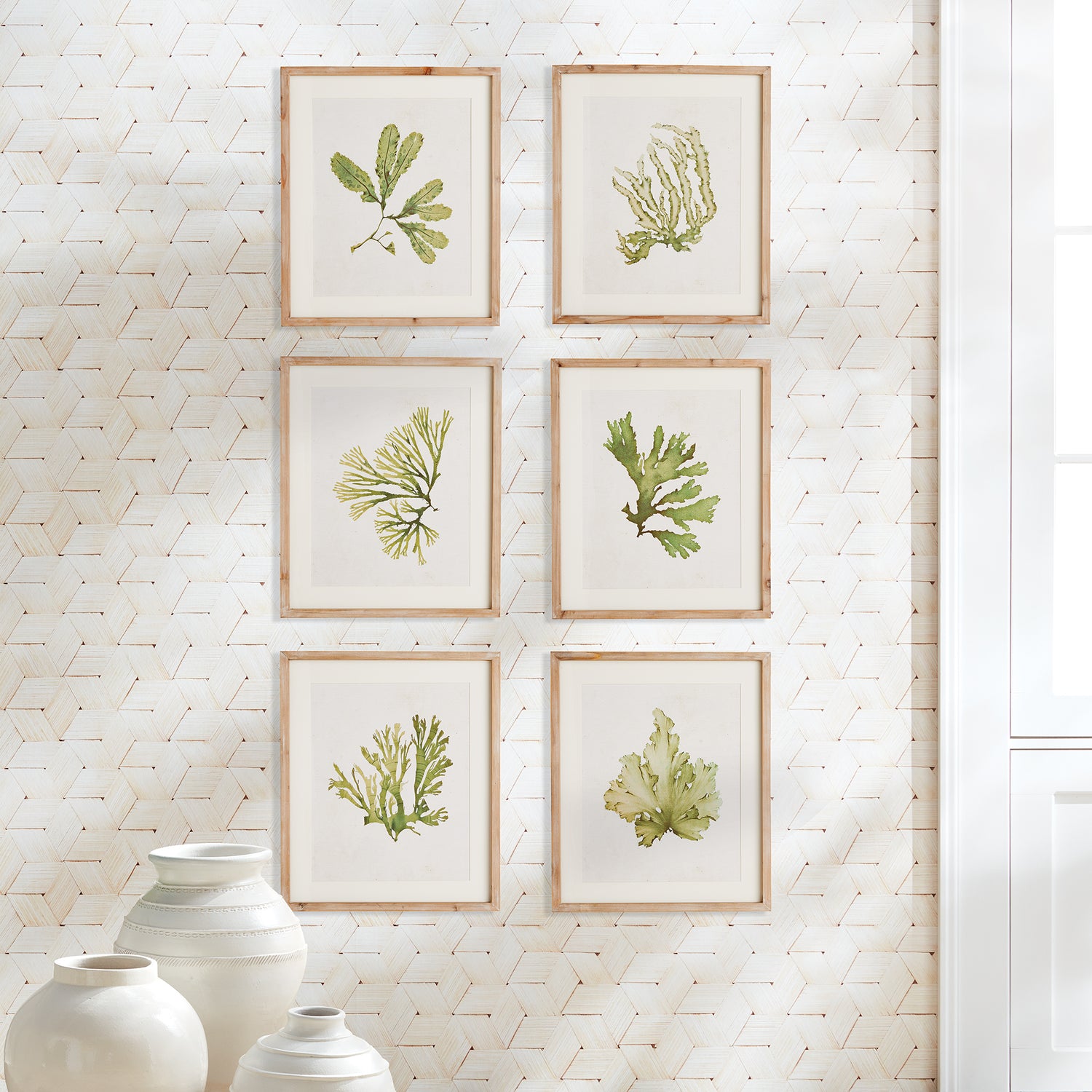 Kelp Prints, Set Of 6