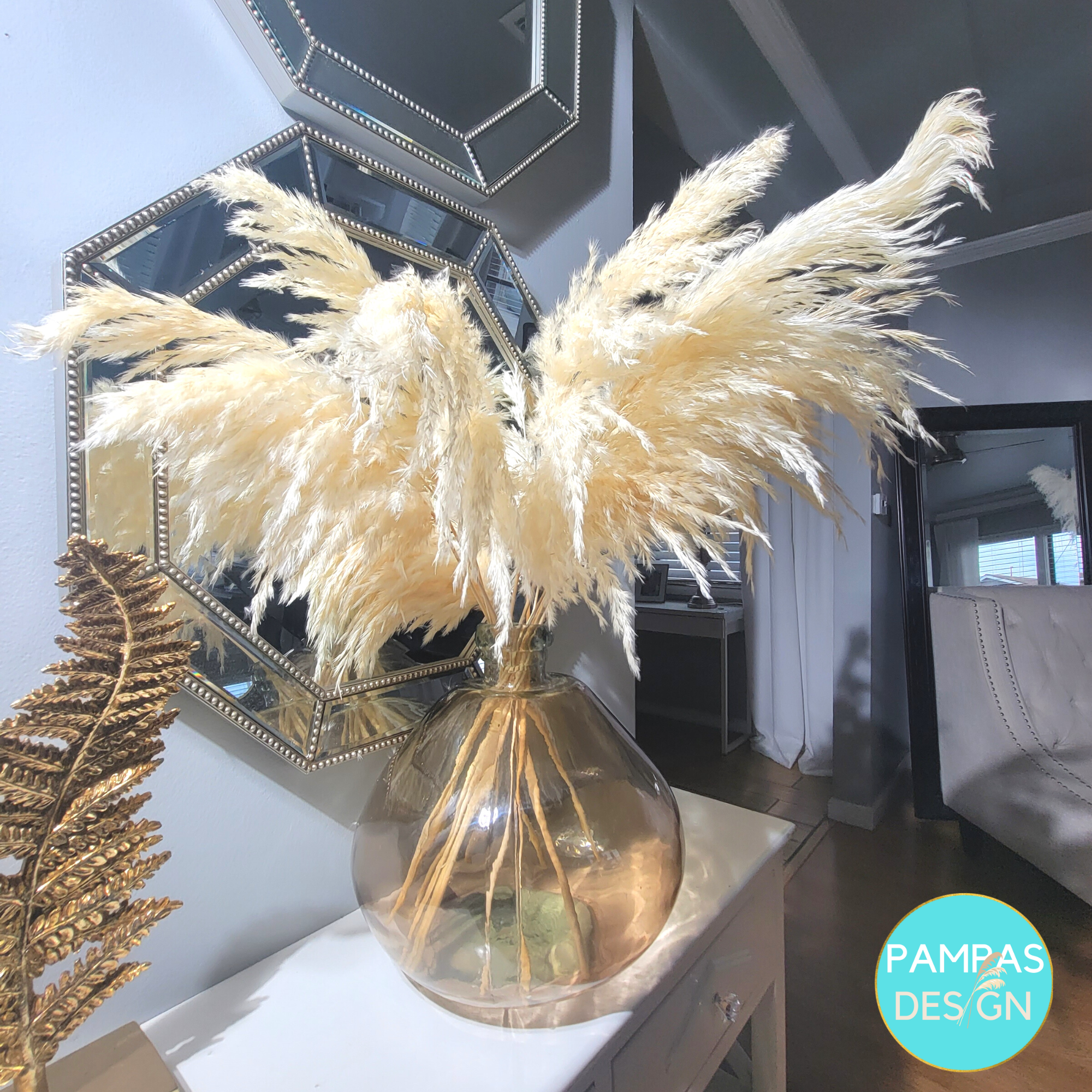 White Pampas Grass Large Fluffy 10 Stems 2ft to 2.5ft: Grey