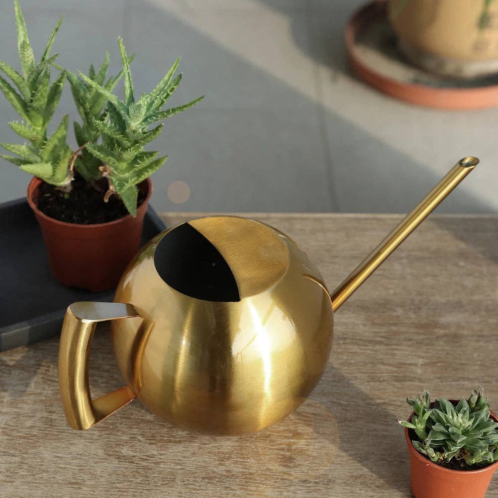 Minimalist Plant Watering Can: Gold
