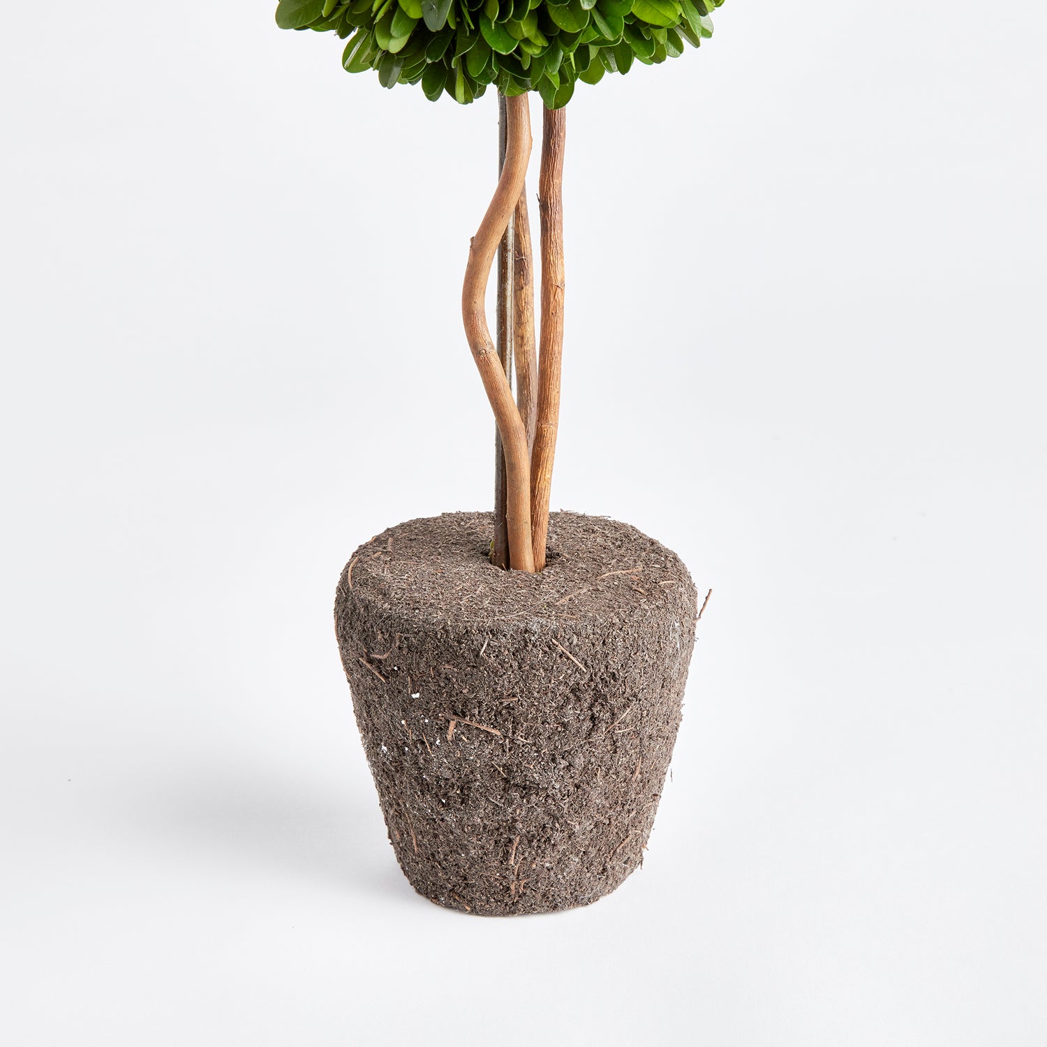 Boxwood Single Sphere Topiary Drop-In 16"