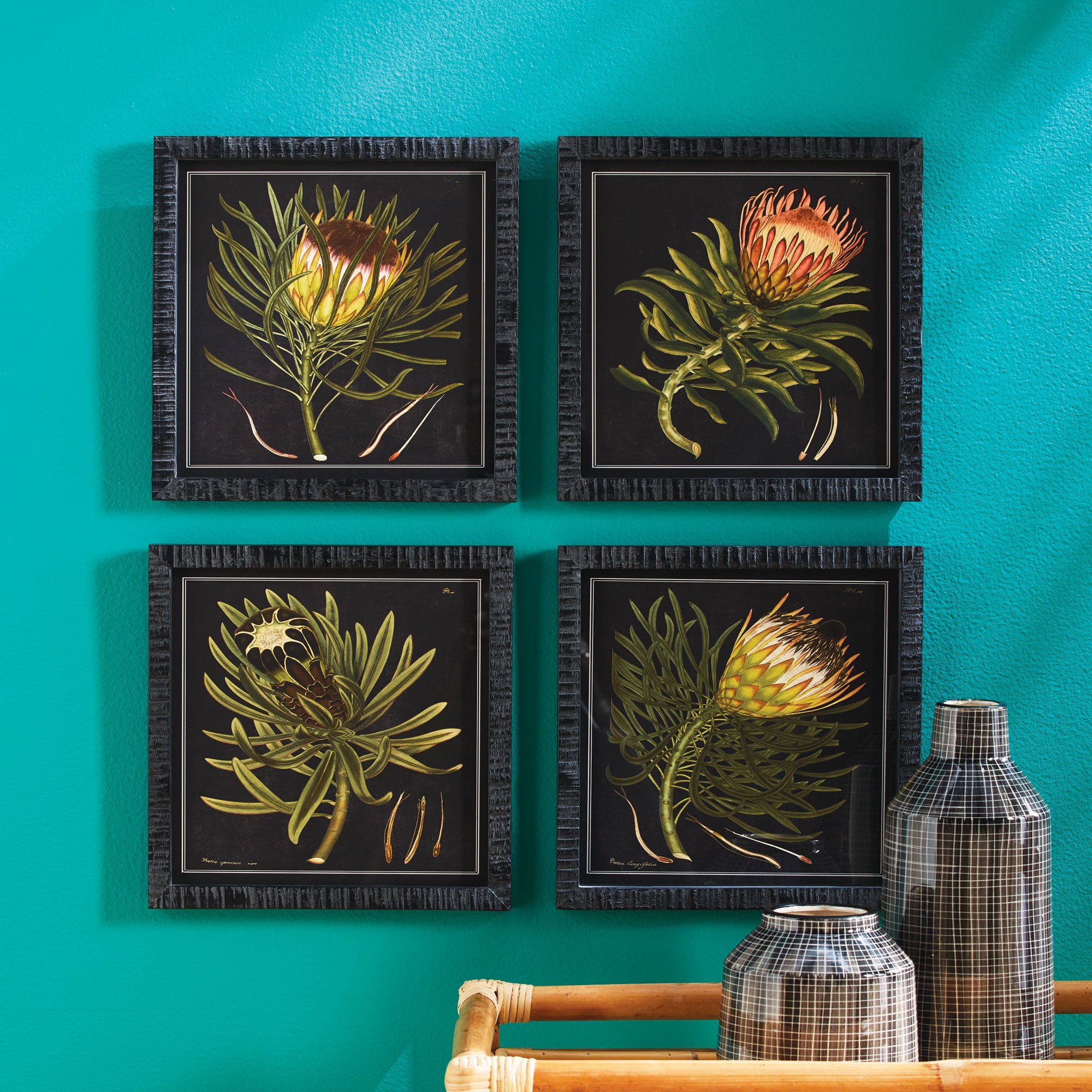 PROTEA PETITE PRINTS, SET OF 4