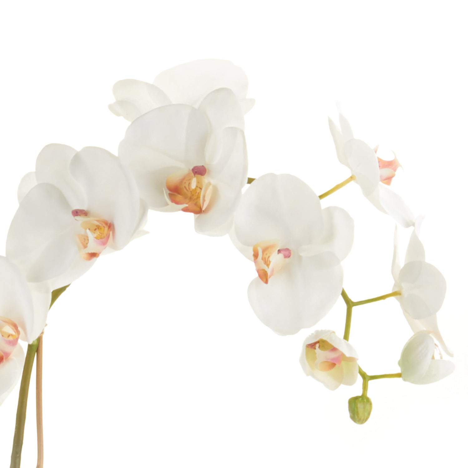 Phalaenopsis Orchid Drop-In 26"