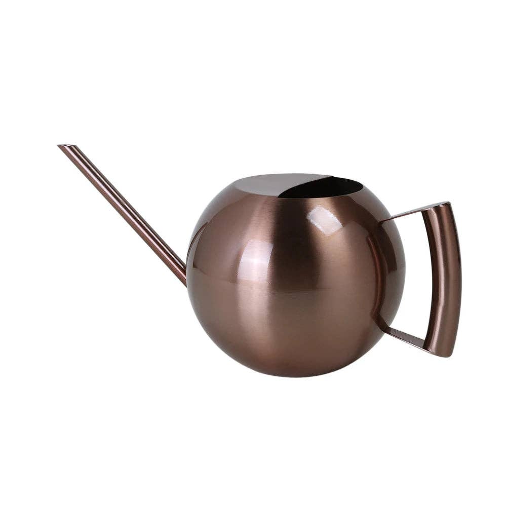 Minimalist Plant Watering Can: Silver