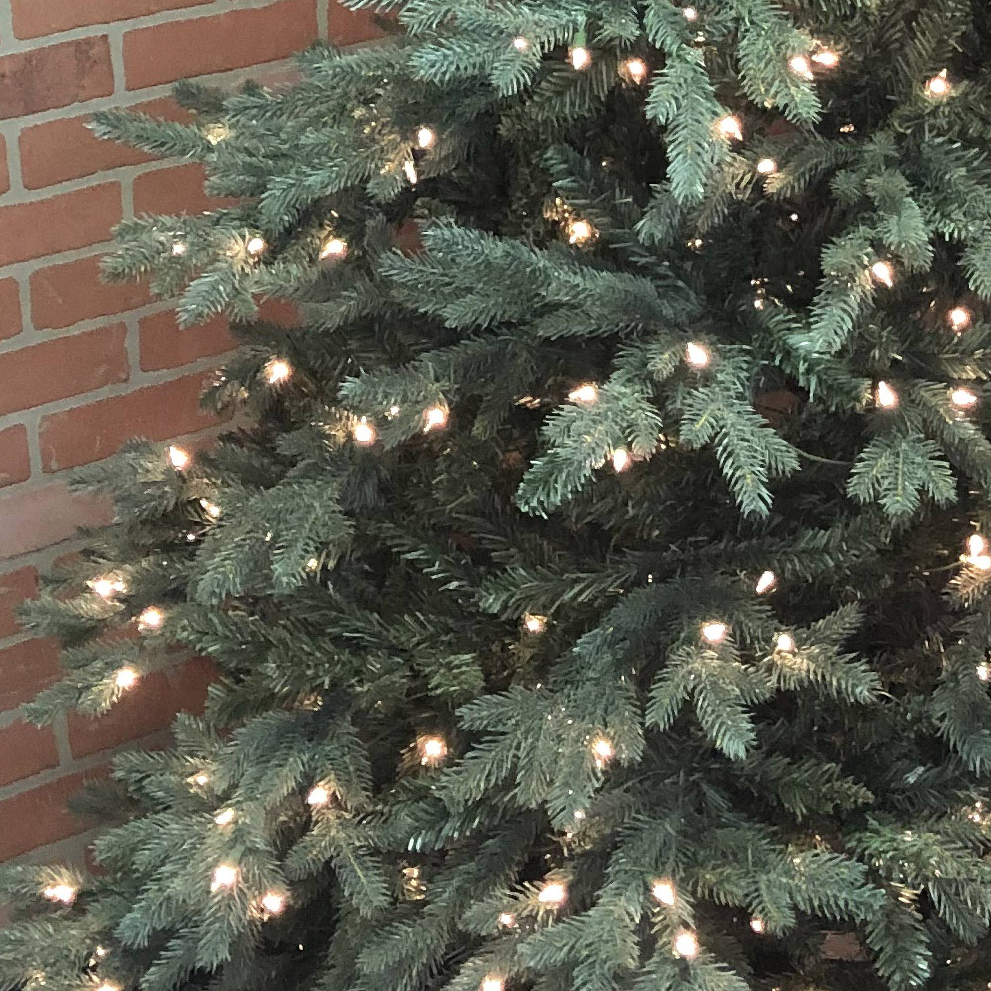 7.5' Balsam PE Tree, 600 UL Lights