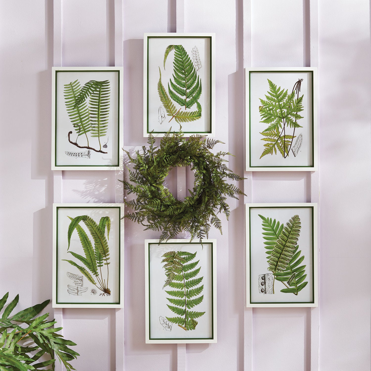 Layered Fern Prints, Set Of 6