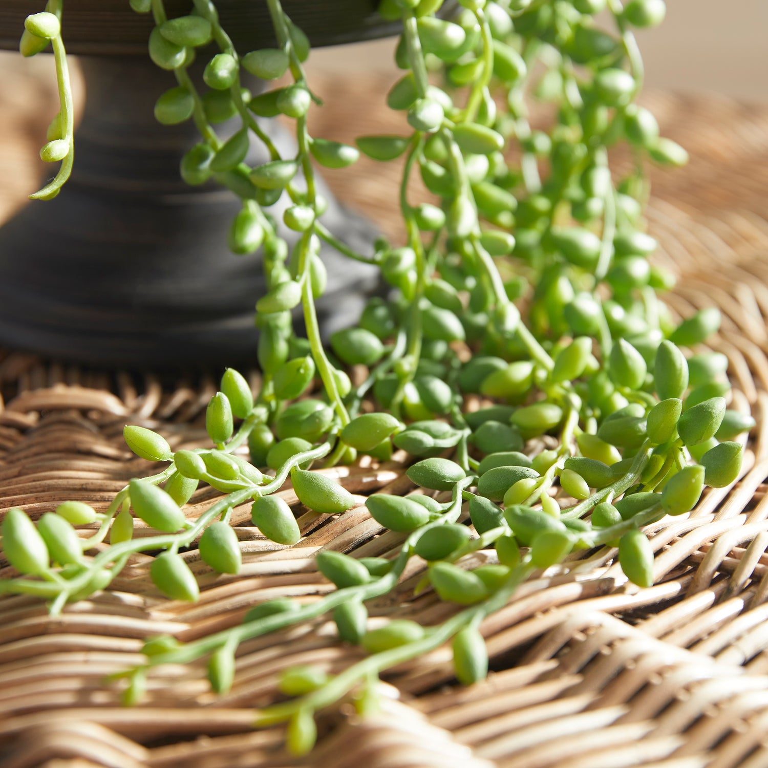 String Of Pearls Drop-In 26"