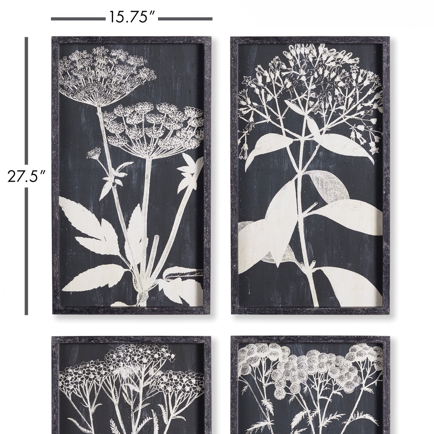 Monochrome Queen Anne'S Lace Prints, Set Of 4