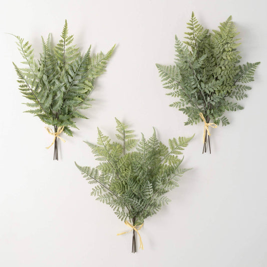 Green Fern Bush