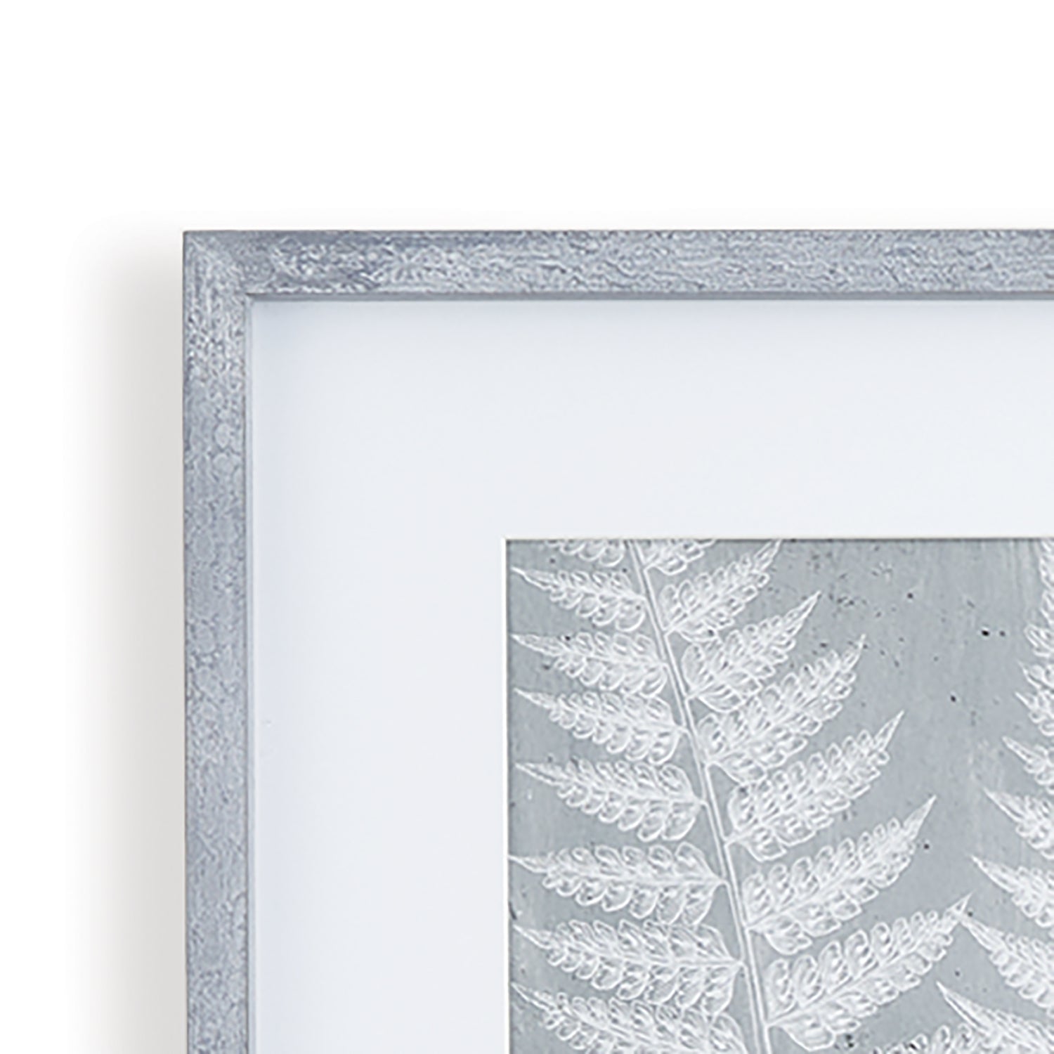 Fern Frond Prints, Set Of 3