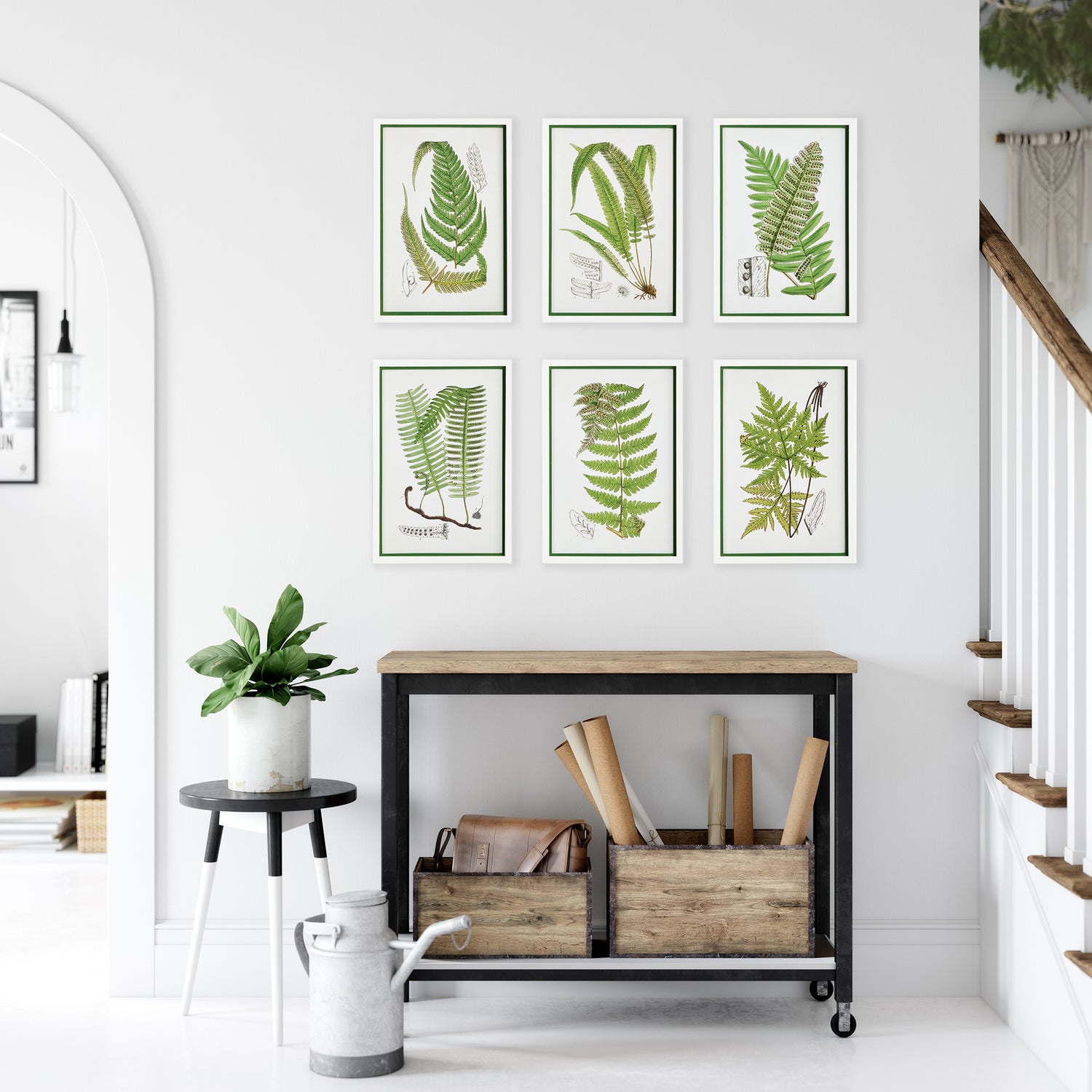 Layered Fern Prints, Set Of 6