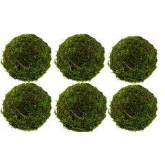 3.5" Moss Ball