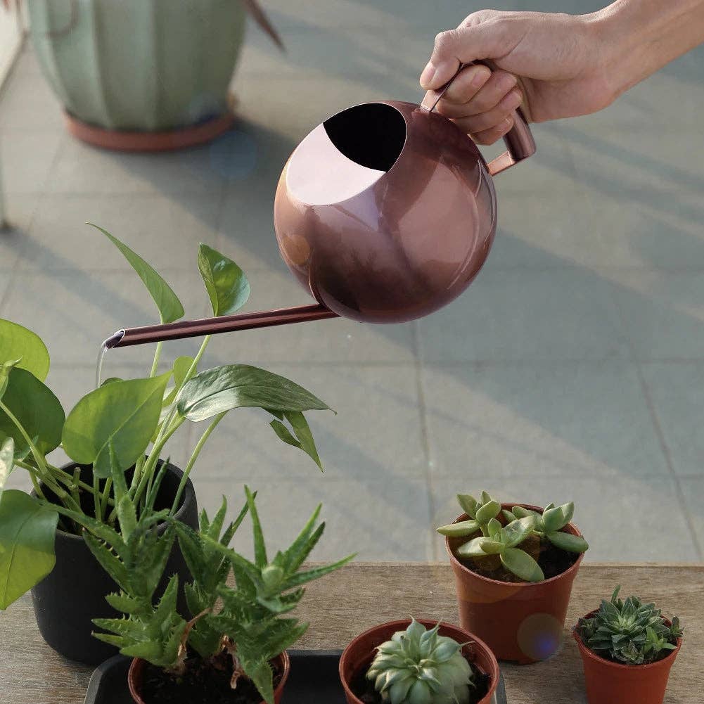 Minimalist Plant Watering Can: Gold