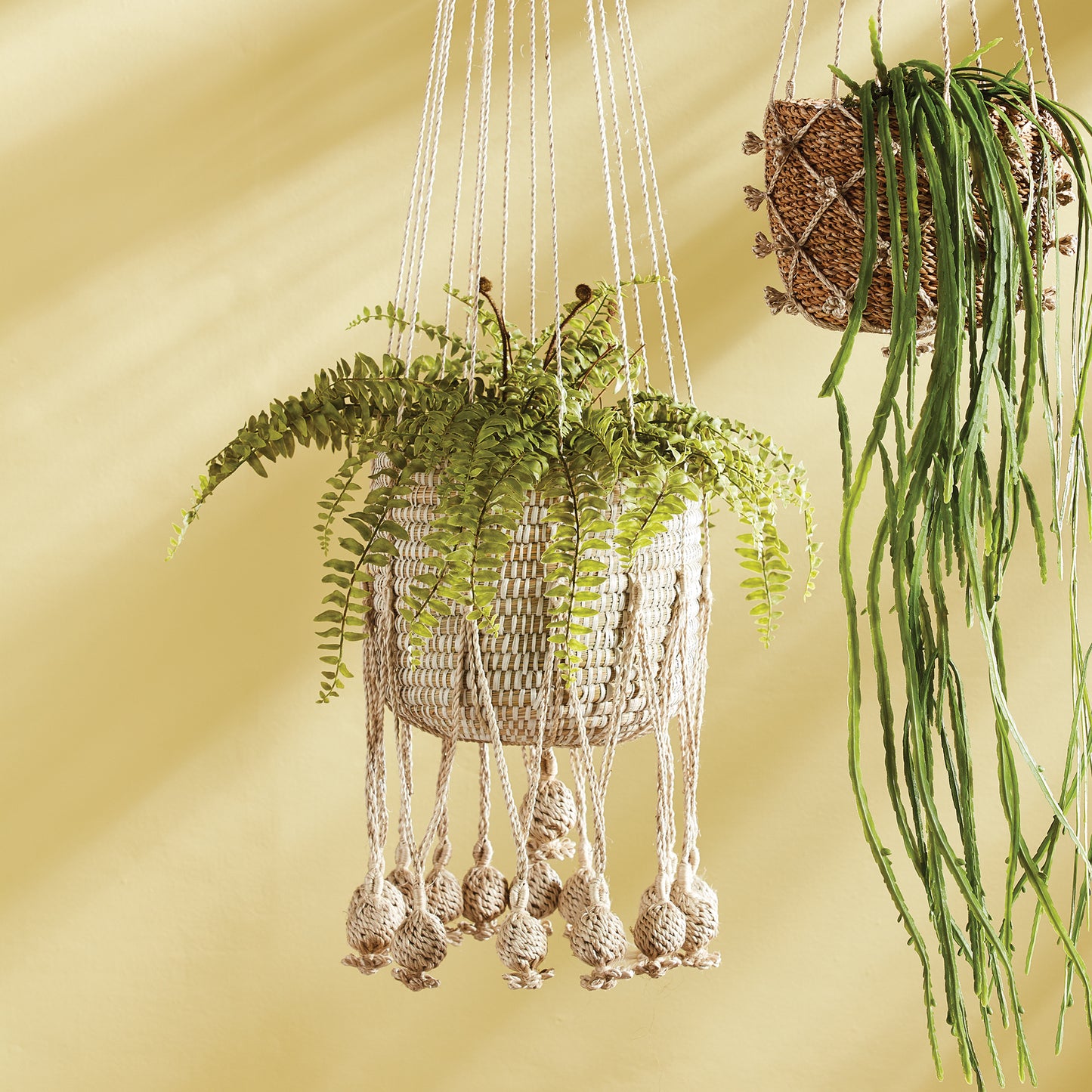 BOSTON FERN DROP-IN 16"