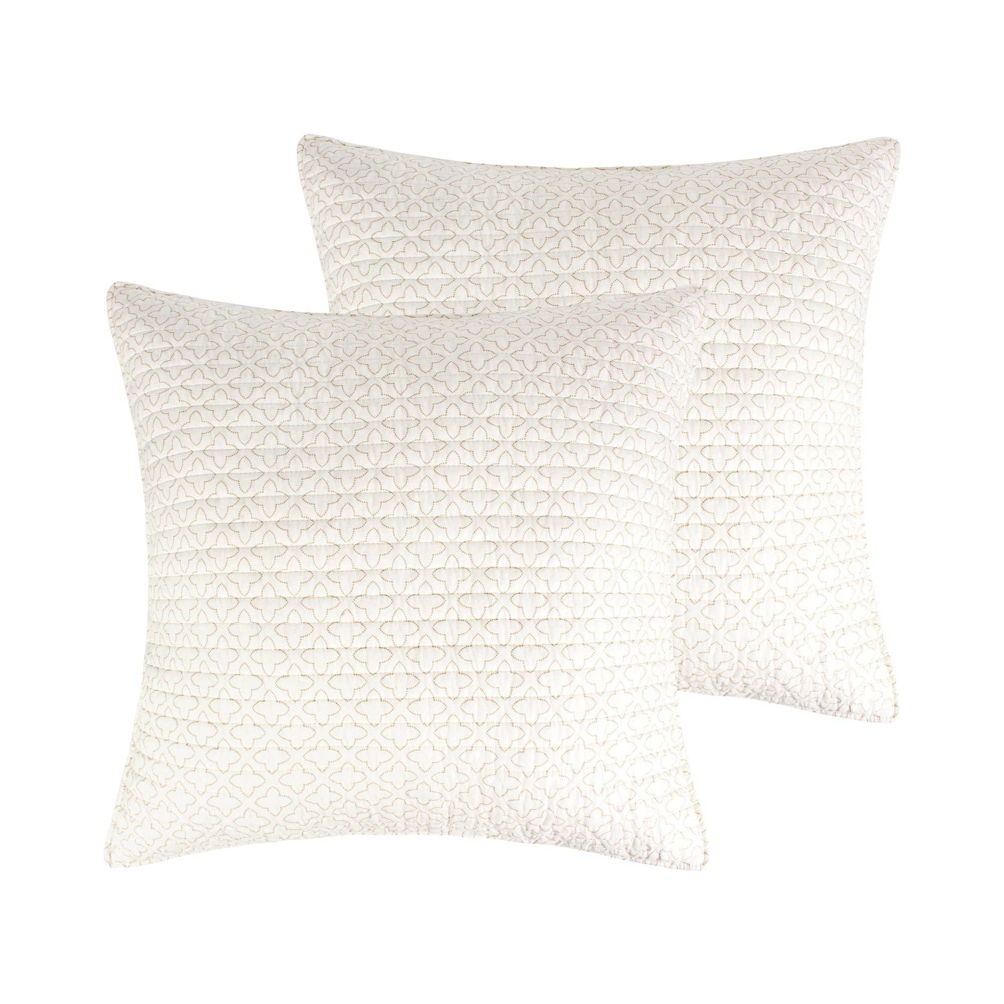 Assisi Mint Euro Sham Set of 2