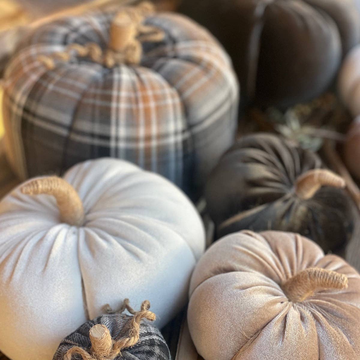 CF-3152 - XL BWT Plaid Fall Fabric Pumpkin