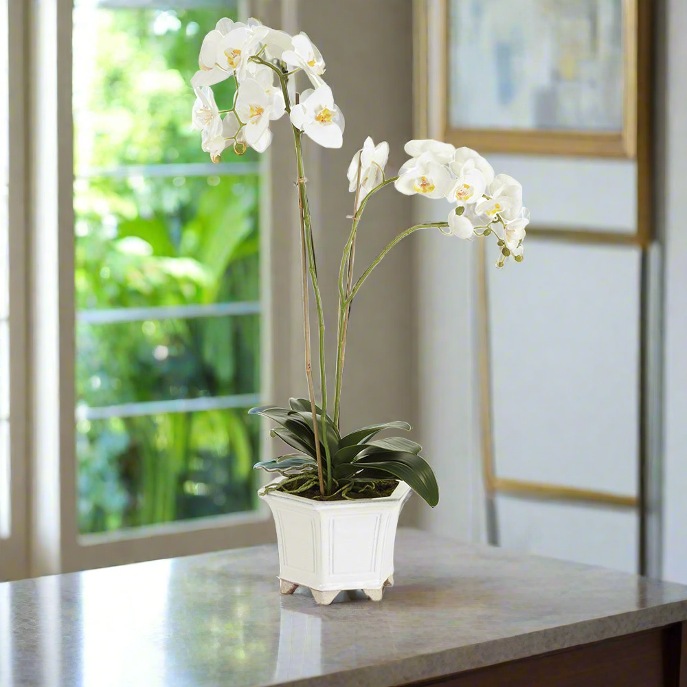 Barclay Butera Phalaenopsis In Ceramic Pot 31"