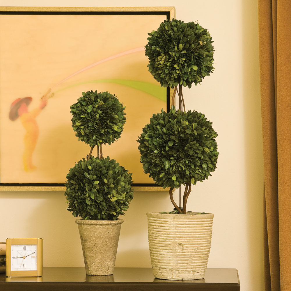 Boxwood Double Sphere Topiary 28"