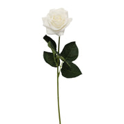 Pack of 48 stems-real touch rose: Stark White