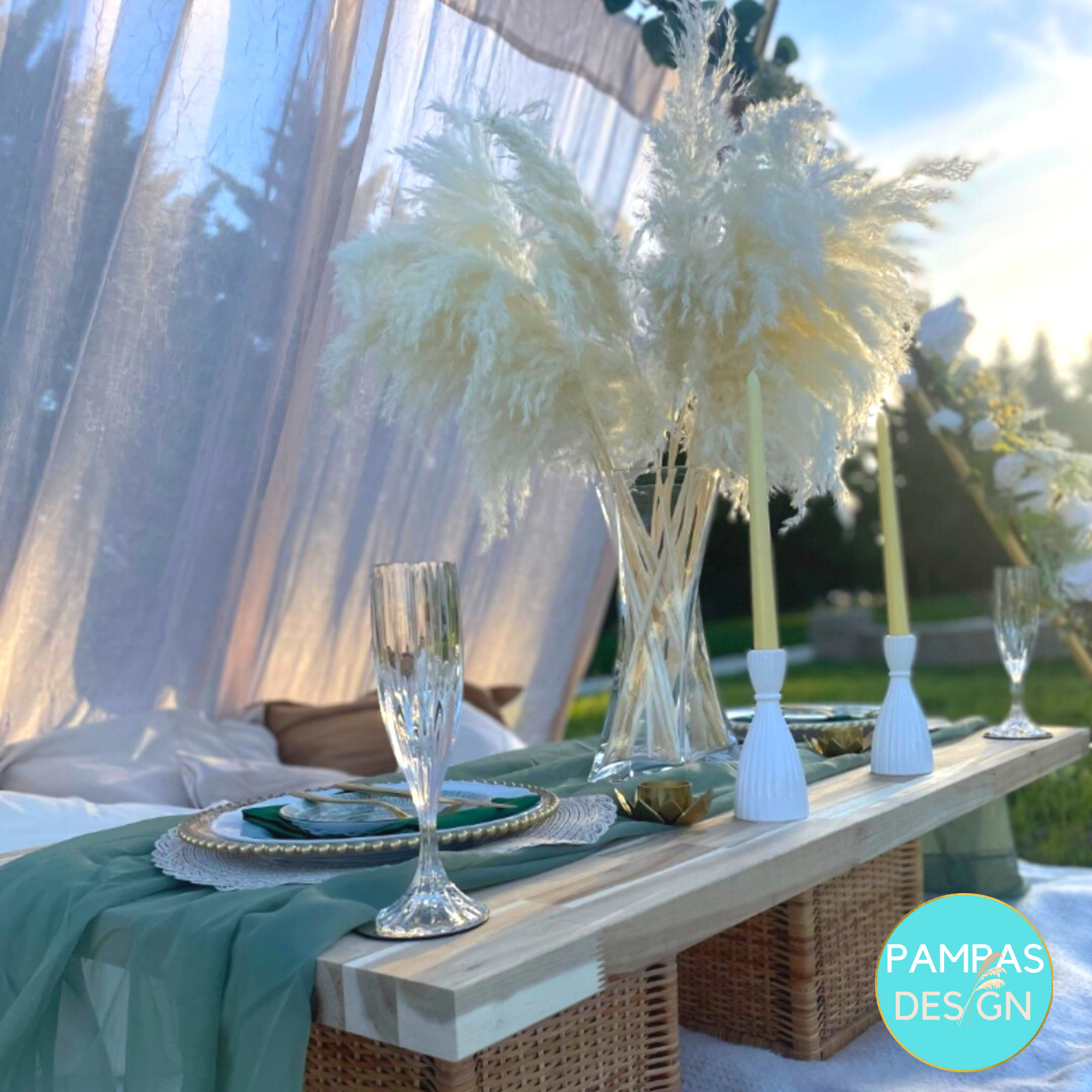 White Pampas Grass Large Fluffy 10 Stems 2ft to 2.5ft: Grey