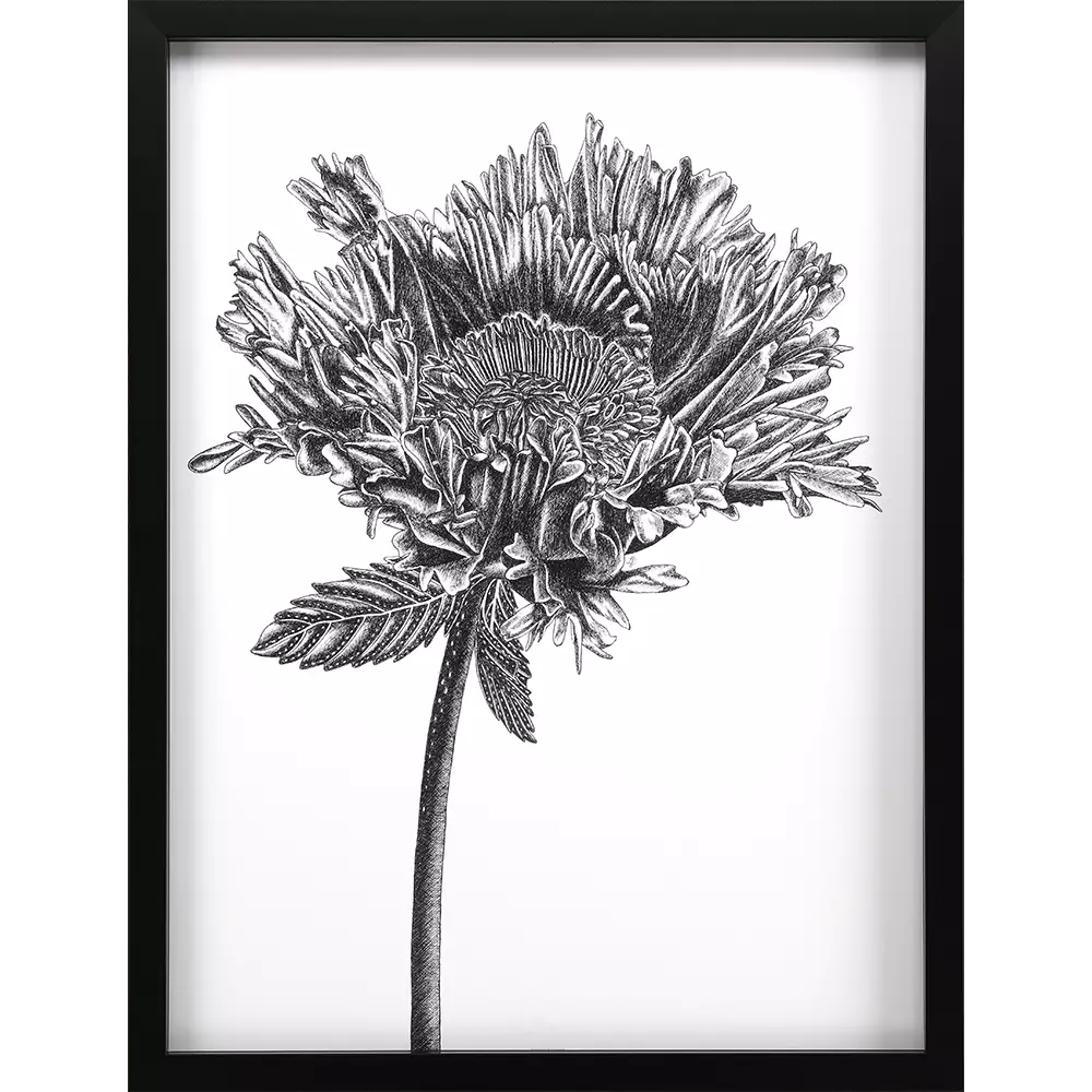 Simple Floral - Grow / 42 H x 33 W x 03 D