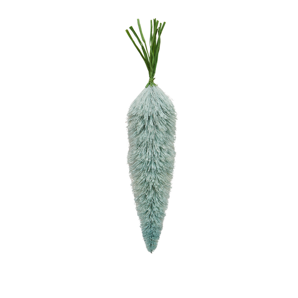 Turq Bottle Brush Carrot