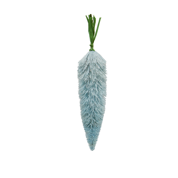 Blue Bottle Brush Carrot