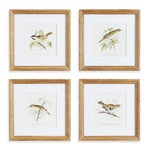 Perching Bird Study Petite, Set Of 4