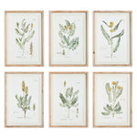 Mid-Summer Blooms Prints, Set Of 6