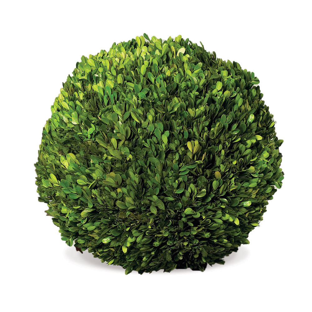 Boxwood Ball 16"