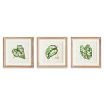 Leaf Cuttings Petite Prints, Set Of 3