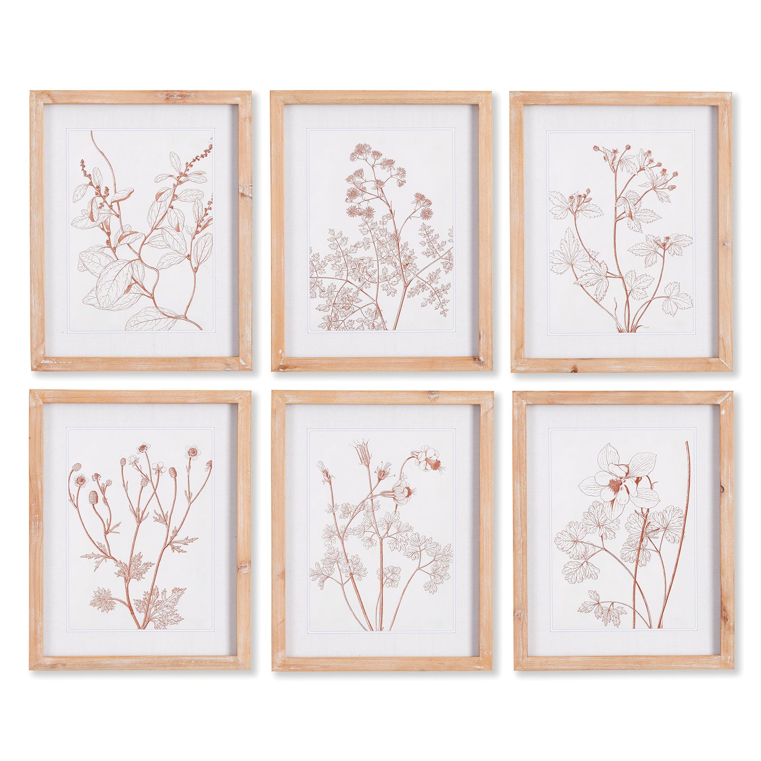 Botanicals In Blush Prints, Set Of 6