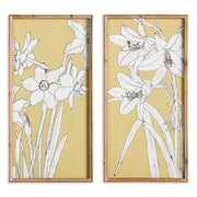Flowering Amaryllis Prints, Set Of 2