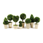 Boxwood Topiaries In Pots, Set Of 8