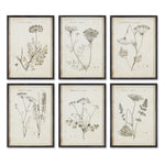 Wildflower Study, Set Of 6