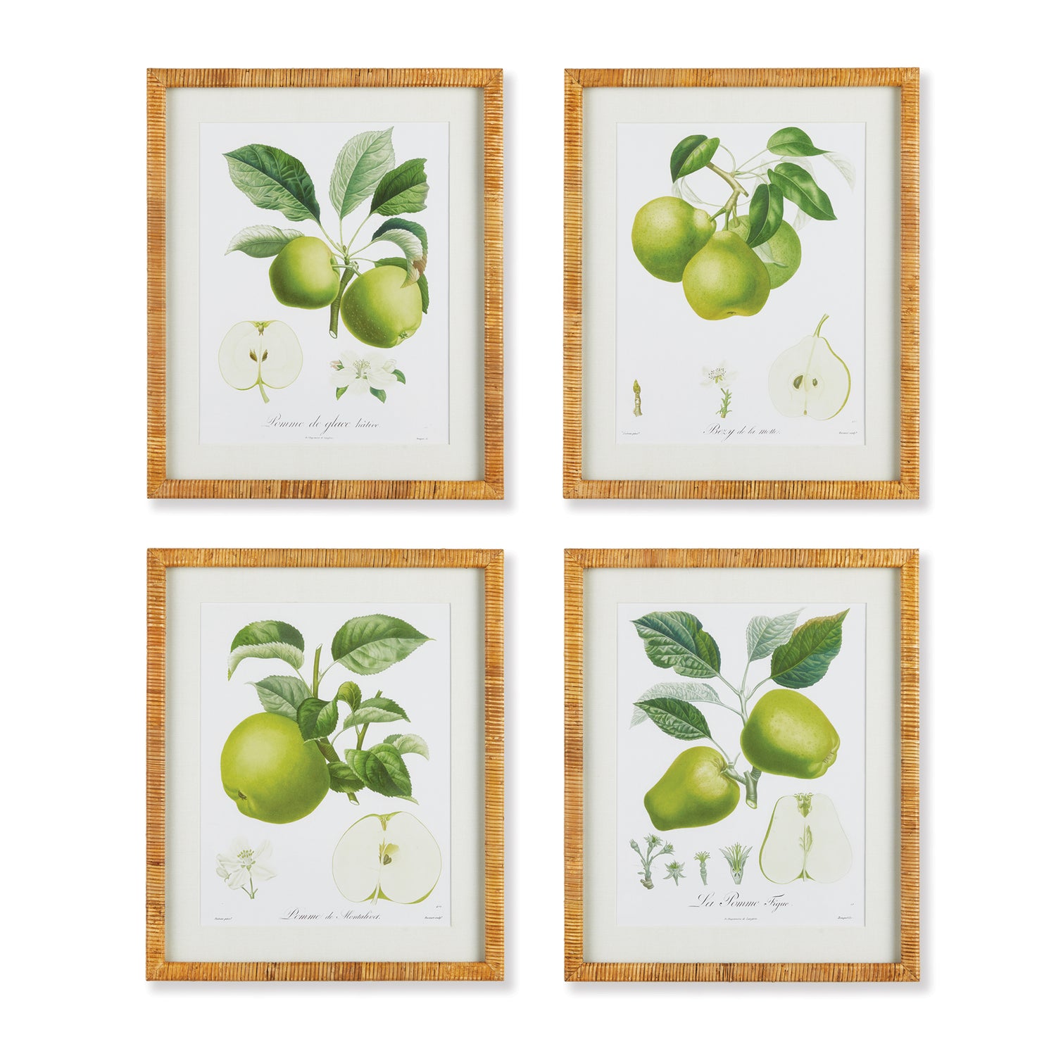 Fruit Study, Set Of 4