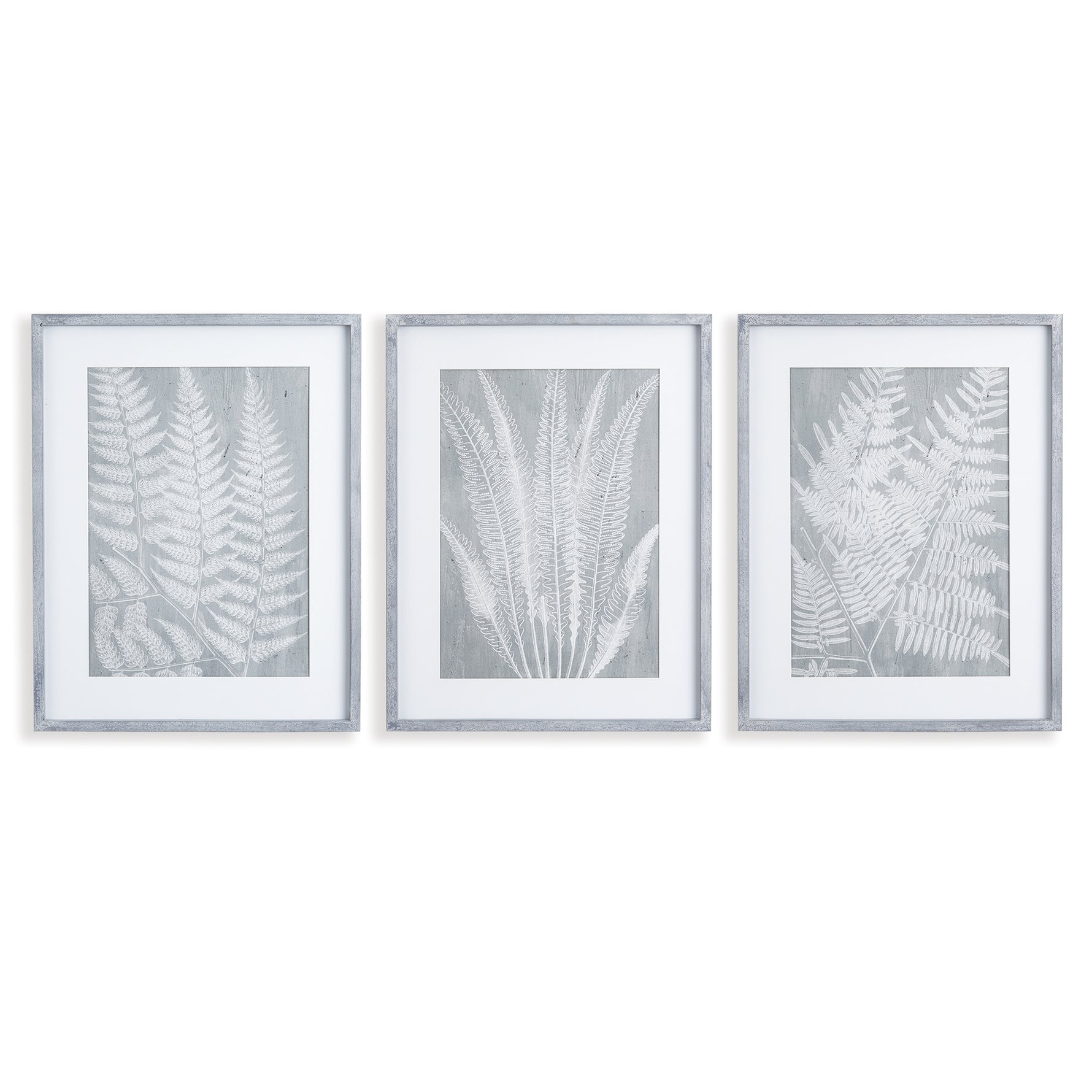 Fern Frond Prints, Set Of 3